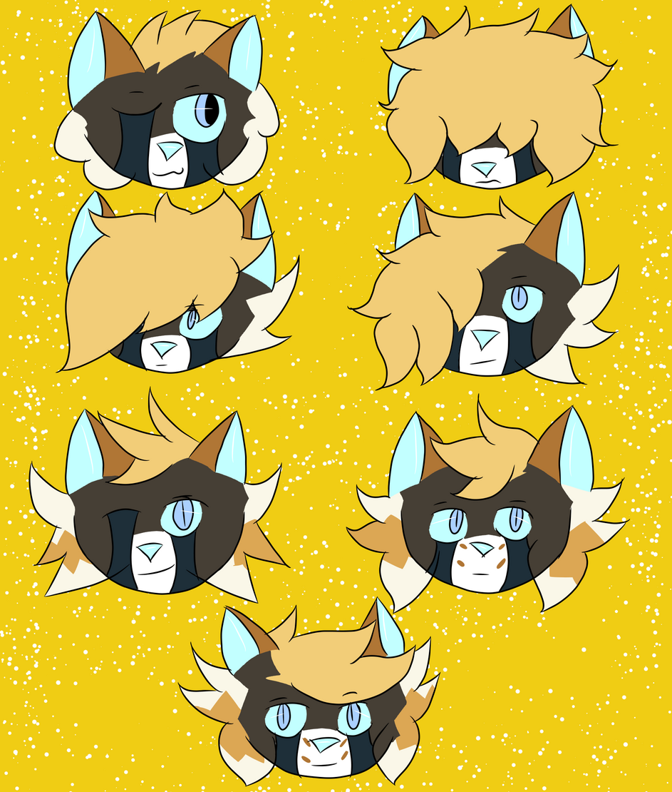 Hairstyle test or something